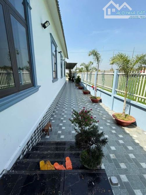 Nhà vuờn 1164m2 giá 4,5 tỷ Tân phước tây_ tân trụ_Long an cực sang trọng Chil chil - 9
