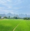 BÁN NHANH SIÊU PHẨM VIEW CÁNH ĐỒNG CÓ DT 763m2 GIÁ CHỈ HƠN 2 TỶ