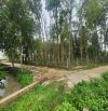 BÁN ĐẤT 2 MẶT TIỀN, CẠNH ĐƯỜNG CAO TỐC (1579 m2) 200 m2 THỔ CƯ, GIÁ 2,4 tỷ.