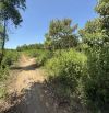 BÁN ĐẤT VƯỜN TẠI QUẢNG NGÃI - ĐƯỜNG ĐẸP – SỔ RIÊNG – GIÁ TỐT 🌳
