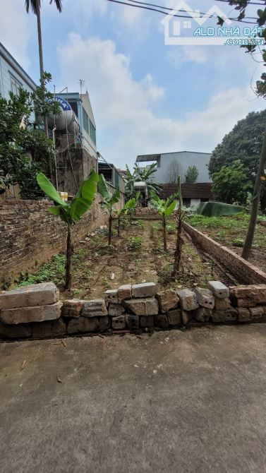 Bán đất Vạn Phúc, Thanh Trì_ 40m2_ ngõ ô tô thông_ 3.1 tỷ
