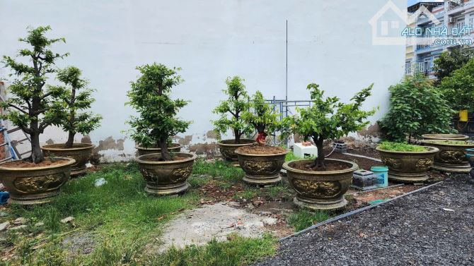 BÁN GẤP ĐẤT FULL THỔ CƯ MẶT TIỀN THẠNH XUÂN 23 – SỔ HỒNG RIÊNG – QUẬN 12, TP.HCM - 2