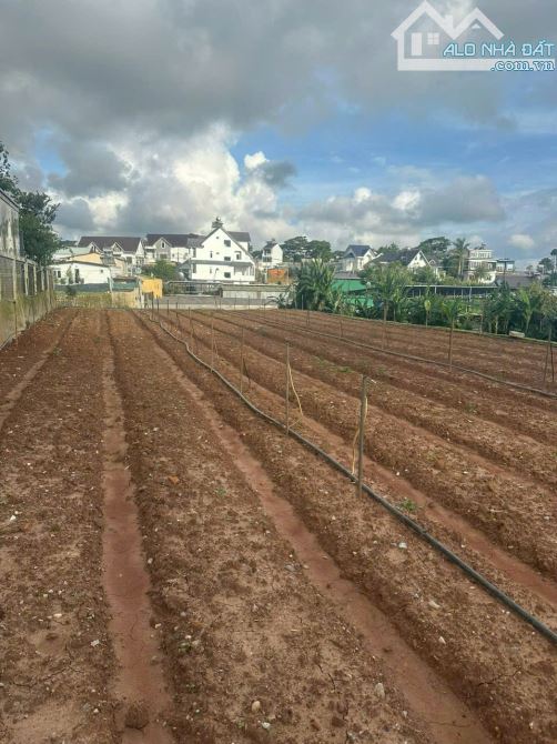 🏞️ BÁN ĐẤT BIỆT LẬP – HẺM Ô TÔ NGÔ TẤT TỐ, P.8 (LÂM VIÊN), ĐÀ LẠT - 13.5 TỶ