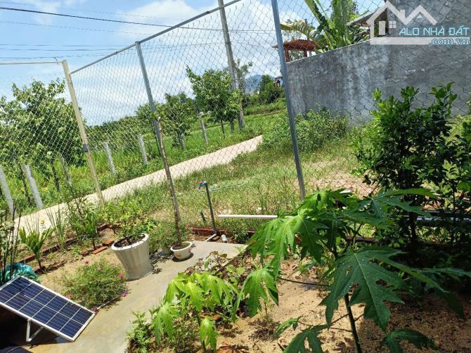 Bán nhà đẹp (Dt. 71m2 ngang gần 7m) Hẻm Ô tô tải thông, P Quảng Phú, Tp Quảng Ngãi