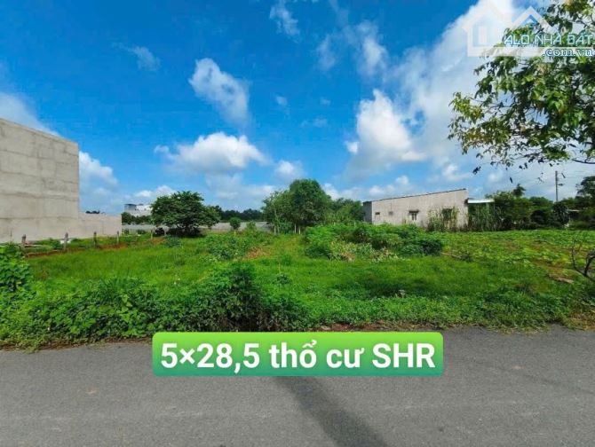5x28.5 MT đường Hoa Vàng gần chợ Mỹ Hạnh Nam giá tốt đầu tư, an cư cùng gia đình