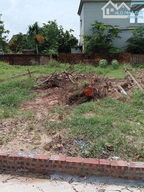 Bán Đất-Xã Minh Trí(Sóc Sơn)-131M2 Full Thổ Cư-1,7Tỷ - ô Tô Vào Đất