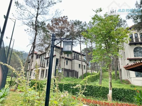 BÁN biệt thự nghỉ dưỡng đồi thông- view hồ Thung Lũng Thanh Xuân - Ngọc Thanh - vĩnh Phúc