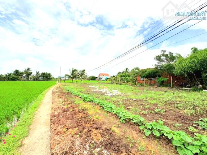 Quá rẻ , nền đất thổ cư cực đẹp Giá công nhân chỉ 265 tr