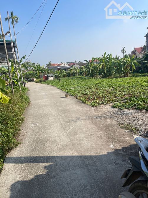 Chào bán lô đất đẹp tại TDP Đông, phường Hoàng Lâm (Lâm Động), TP Thuỷ Nguyên, Hải Phòng