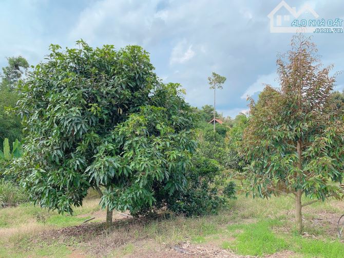 Bán Khoảng 6 sào 4 (6431m2) đất Láng Lớn, huyện Châu Đức, BRVT.