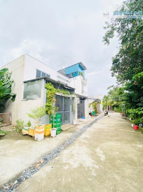 Bán Đất thổ cư đường THẠNH XUÂN 51, phường THẠNH XUÂN, Q12,dt 75,6m²(4mx19m)giá 2,78 tỷ - 1