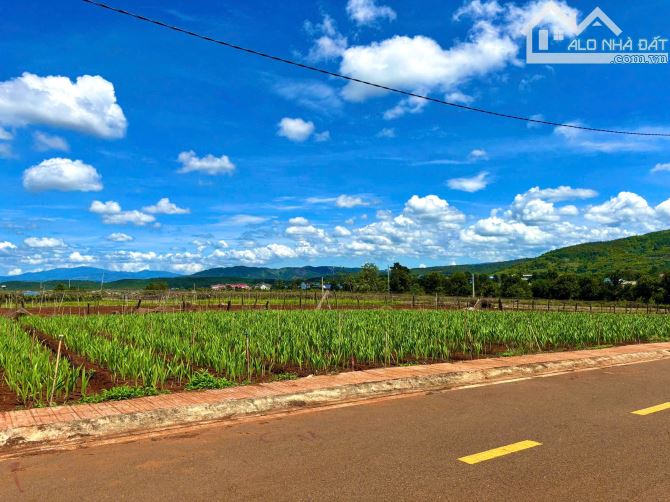 Bán Gấp Lô Đất Ven Đà Lạt Gần Sân Bay Liên Khương - Giá Chỉ Hơn 900 Triệu - 1