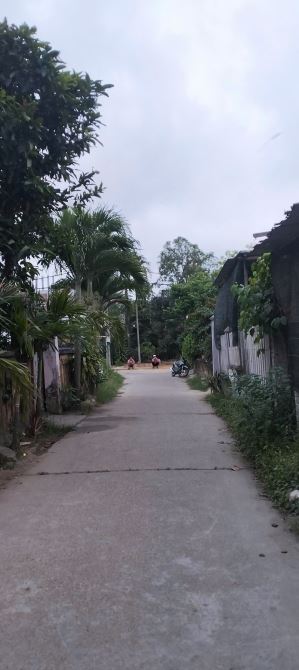 🏡 CẦN BÁN LÔ ĐẤT ĐẸP – KIỆT 5M ĐƯỜNG MAI ĐĂNG CHƠN , HÒA QUÝ, NGŨ HÀNH SƠN 🏡 CHỈ 3ty T - 1