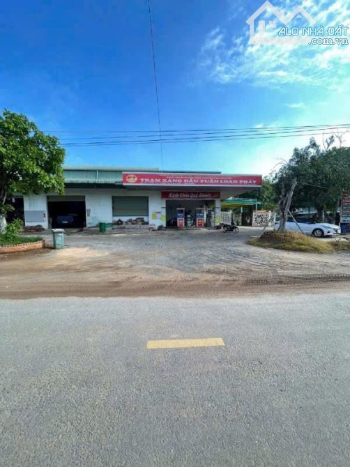 Chủ hạ bán gấp lô đất 1300m2 có 100 thổ giá 995 triệu,đất Dầu tiếng - 1