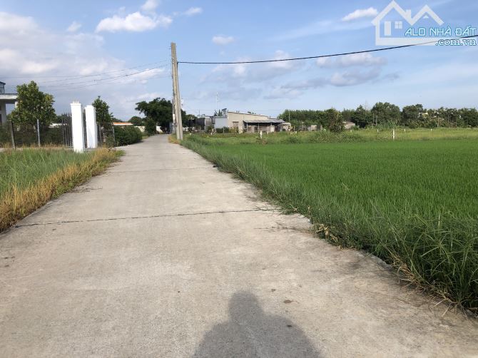 Đất sào trung tâm Đất Đỏ- 38m mặt tiền- view lúa và núi cực đẹp-sổ sẵn-giá 2ty3 - 1