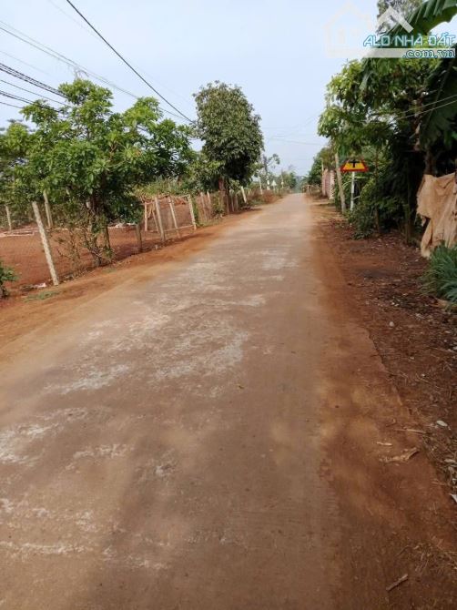Giá quá rẻ, không còn khu nào full thổ cư Đăklăk, giá chỉ 3xx triệu/lô 260m2 - 1