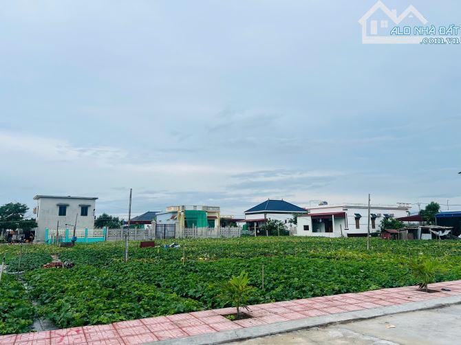 Bán Đất Quất Lâm, Giao Thủy quanh 2000ha khu công nghiệp, 82m2 MT5.2m ô tô giá 1.2 tỷ - 1