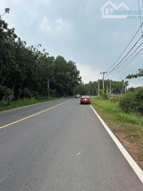 Bán Đất DT 2000M2 Mặt Tiền DT 768 Xã Trị An - Vĩnh Cửu, gần Thị Trấn Vĩnh An  ✅- DT: 2000M - 1