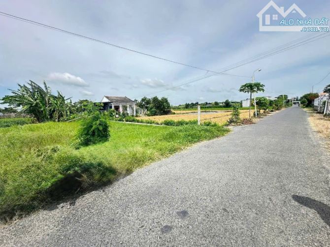 💎 Đất đẹp xây nhà vườn (14.3 x 36m) Mặt tiền nhựa Xóm Mãng, xã Tân Đông, Gò Công Đông - 1