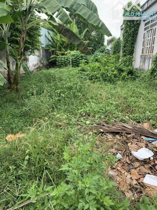 cần bán gấp lô đất Thái MỸ 196m², giá cắt lỗ chỉ 490tr - 1