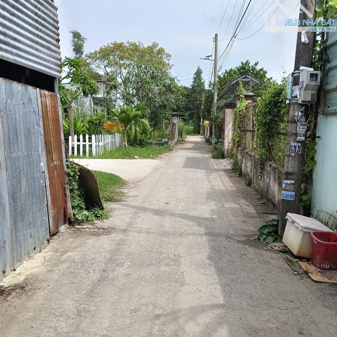 Đất lớn phù hợp làm nhà vườn, khó xưởng. DT 15x25m, 360m2. Xuân Thới Sơn, Hóc Môn. - 1