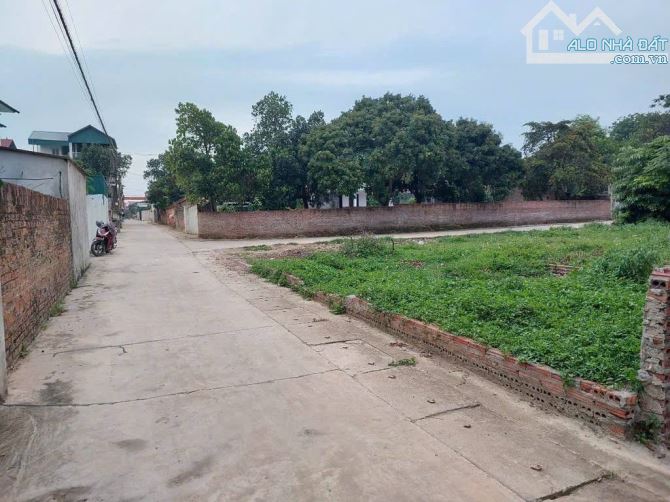 cần tiền bán nhanh lô đât tại thắng hữu kim anh sóc sơn - 1