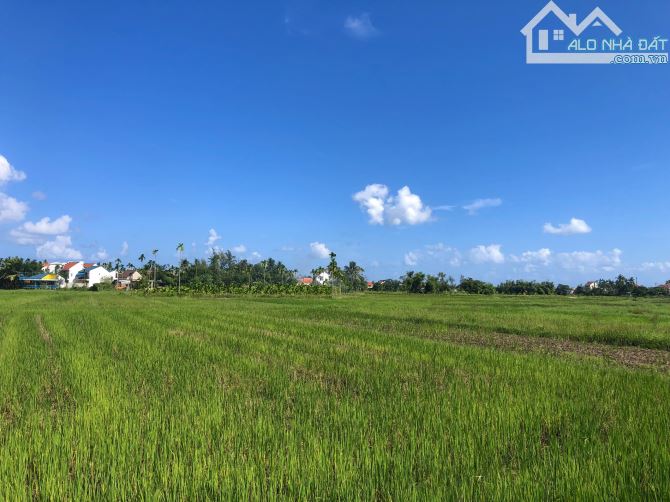 Có 1 không 2 sở hữu View Lúa Mặt tiền Đường Trần Nhân Tông - Hội An. Giá 3x triệu/m (MS394 - 1