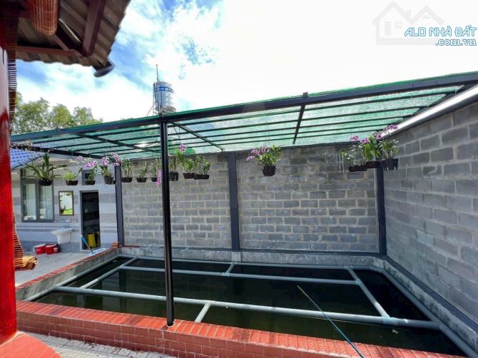 Hiếm có khó tìm: Nhà vườn 1.000m² view sông Vàm Cỏ, chỉ 200m ra đường lớn - 12