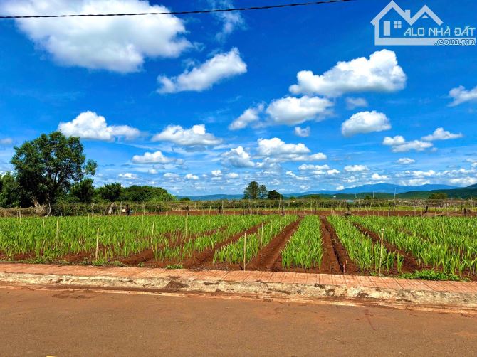 Bán Gấp Lô Đất Ven Đà Lạt Gần Sân Bay Liên Khương - Giá Chỉ Hơn 900 Triệu - 2