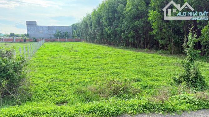 Vị Trí Gần Biển Gần Đường Lớn Giao Thương Giá Mềm Hợp Lý Đầu Tư - 2
