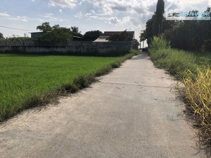Đất sào trung tâm Đất Đỏ- 38m mặt tiền- view lúa và núi cực đẹp-sổ sẵn-giá 2ty3 - 2