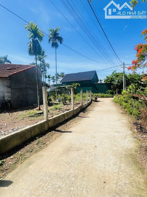 Lô Góc 2 Diện 147m2  - Đường ô tô - 2