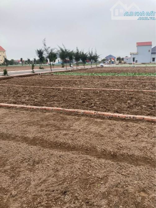 Bán đất biển Quất Lâm sát nghỉ dưỡng Flamingo, 100m2 MT5m trục chính kinh doanh chỉ hơn tỷ - 2