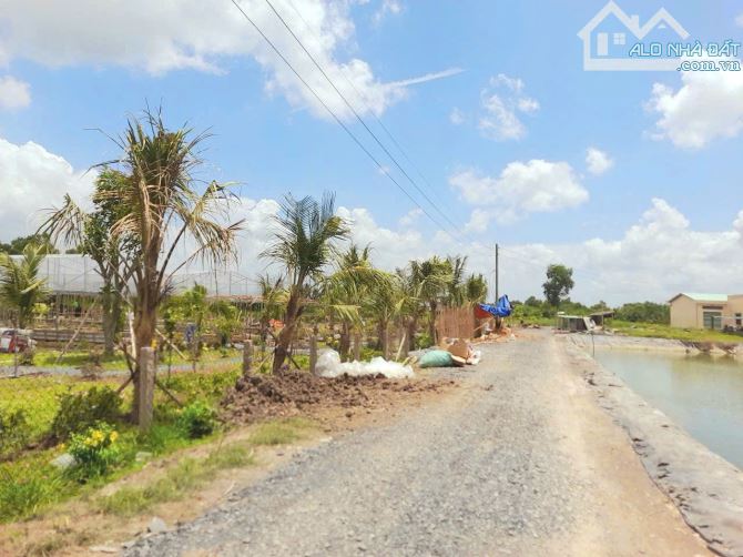 Siêu phẩm 500m2 đất vườn view sông Tấn Đức chỉ 500tr - 2