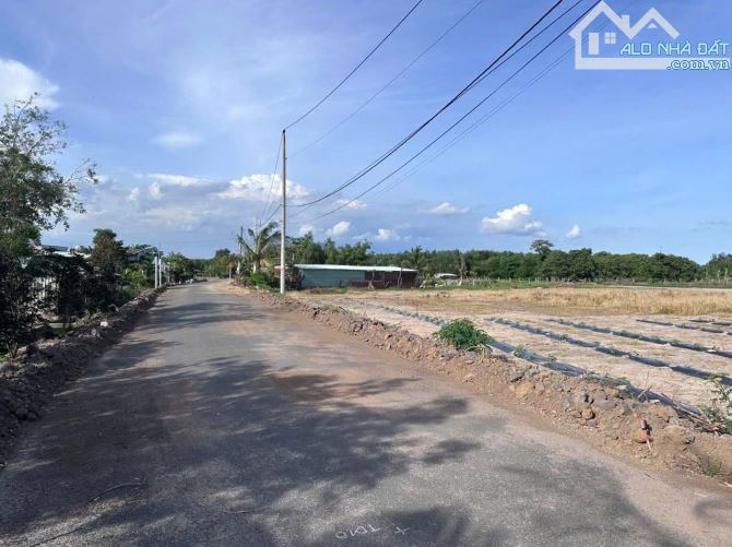 ÔNG ANH CẦN BÁN LẠI NHÀ VƯỜN GẦN 1.3HA ĐẤT 2MT TT PHƯỚC HẢI - LONG ĐẤT - BRVT: - 2