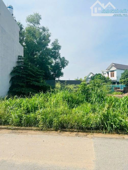Đất mặt tiền khu du lịch Hố Lang, phường Tân Bình Tp Dĩ An - 2