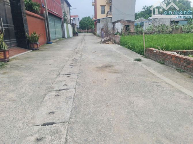 Bán  160m2 đất bìa làng Thư Lâm giá 57tr/m2 khổ vuông vức, đất ở 100%, ko dính quy hoạch - 2
