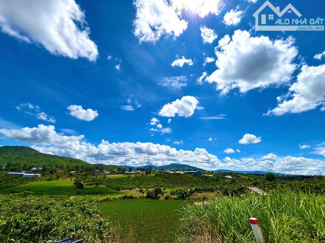 Bán Gấp Lô Đất Ven Đà Lạt Gần Sân Bay Liên Khương - Giá Chỉ Hơn 900 Triệu - 3