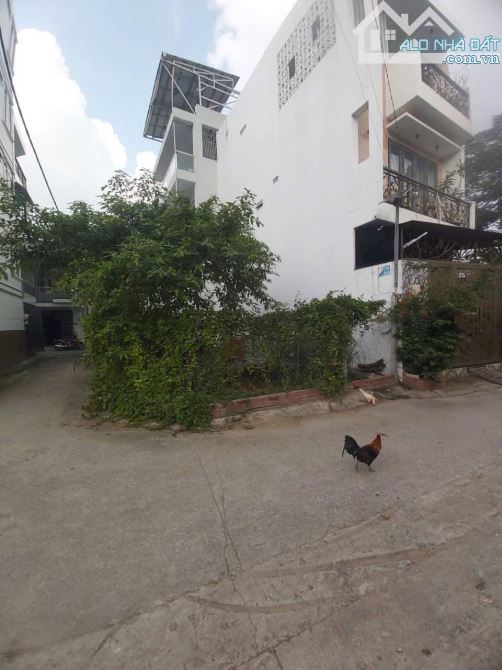Bán lô đất 142/9 Đường số 1, P.15, Gò Vấp 5,95tỷ - 3