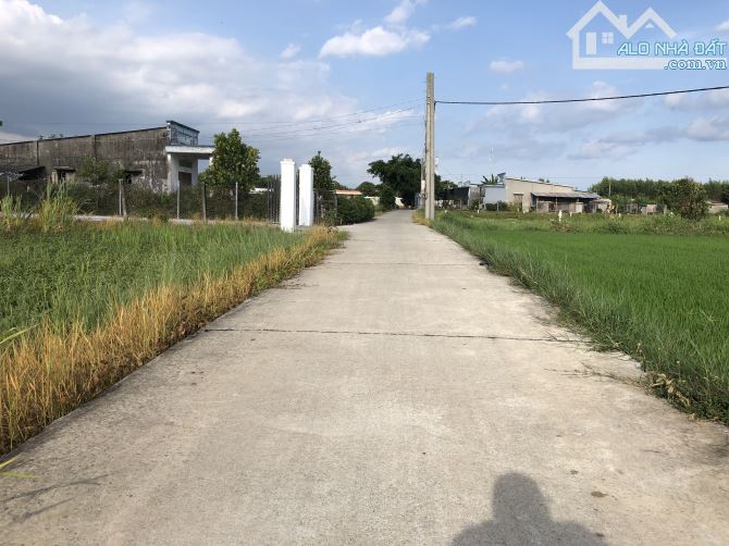 Đất sào trung tâm Đất Đỏ- 38m mặt tiền- view lúa và núi cực đẹp-sổ sẵn-giá 2ty3 - 3