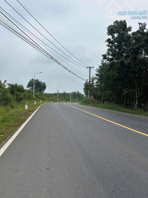 Bán Đất DT 2000M2 Mặt Tiền DT 768 Xã Trị An - Vĩnh Cửu, gần Thị Trấn Vĩnh An  ✅- DT: 2000M - 3