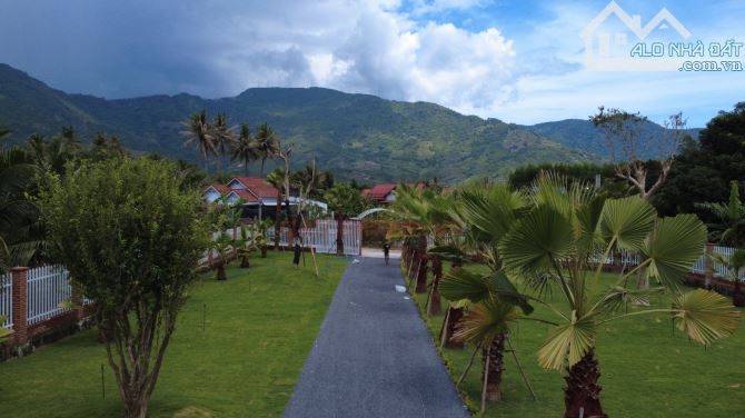 Đất Nhà Vườn siêu đẹp Suối Cát Cam Lâm 2005m2 có 600m2 thổ cư đường 2 ô tô - 3