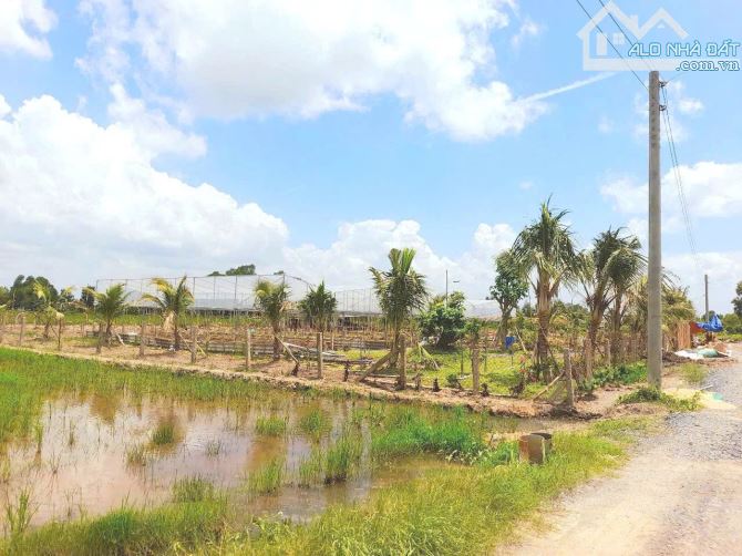 Siêu phẩm 500m2 đất vườn view sông Tấn Đức chỉ 500tr - 3