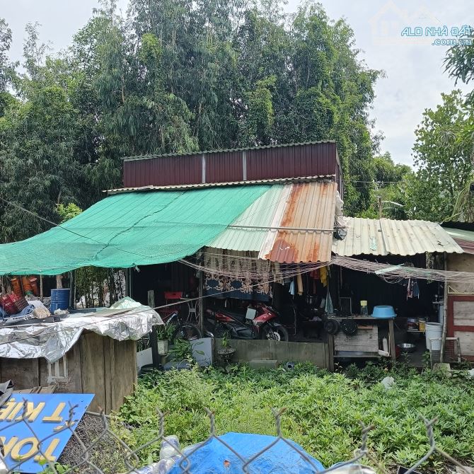 Đất lớn phù hợp làm nhà vườn, khó xưởng. DT 15x25m, 360m2. Xuân Thới Sơn, Hóc Môn. - 3