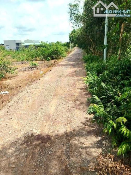 Siêu phẩm, 1000m2 đất vườn 20x 50m, chuyển thổ view kênh chỉ 670tr - 3