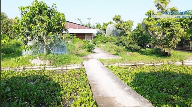 🏡🌴 BÁN NHÀ VƯỜN NGHỈ DƯỠNG VIEW SÔNG – PHƯỜNG TÂN HẠNH, TP VĨNH LONG 🌳 - 4