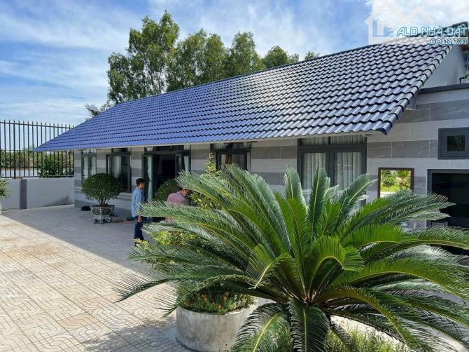 Hiếm có khó tìm: Nhà vườn 1.000m² view sông Vàm Cỏ, chỉ 200m ra đường lớn - 4