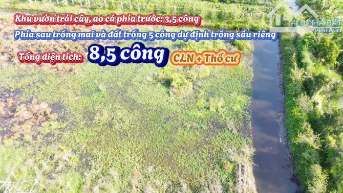 🏡🌴 BÁN NHÀ VƯỜN NGHỈ DƯỠNG VIEW SÔNG – PHƯỜNG TÂN HẠNH, TP VĨNH LONG 🌳 - 5