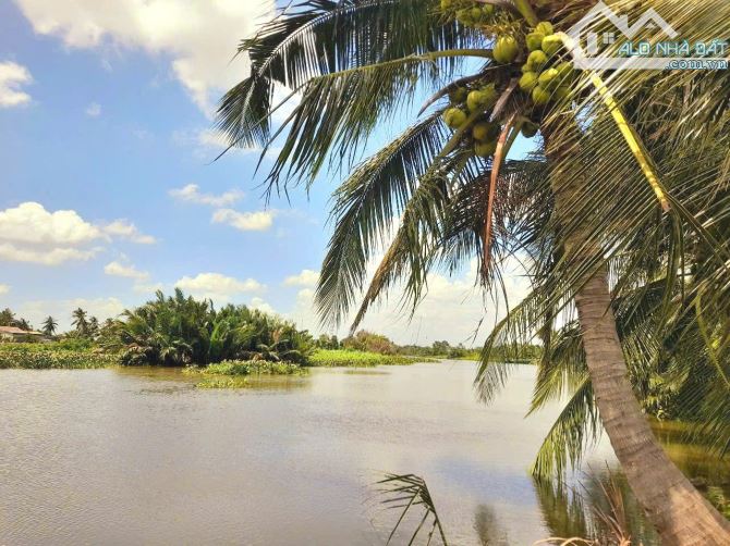 Siêu phẩm 500m2 đất vườn view sông Tấn Đức chỉ 500tr - 5