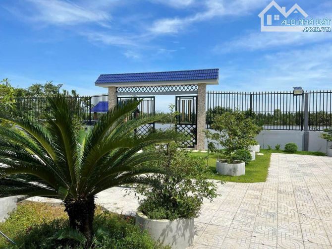 Hiếm có khó tìm: Nhà vườn 1.000m² view sông Vàm Cỏ, chỉ 200m ra đường lớn - 5